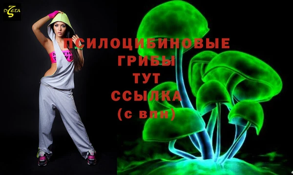 хмурый Алексеевка
